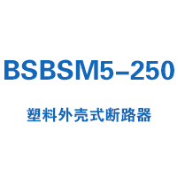 BSBSM5-250塑料外壳式断路器