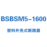 BSBSM5-1600塑料外壳式断路器